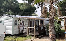 Mobile Home Camping Pedro